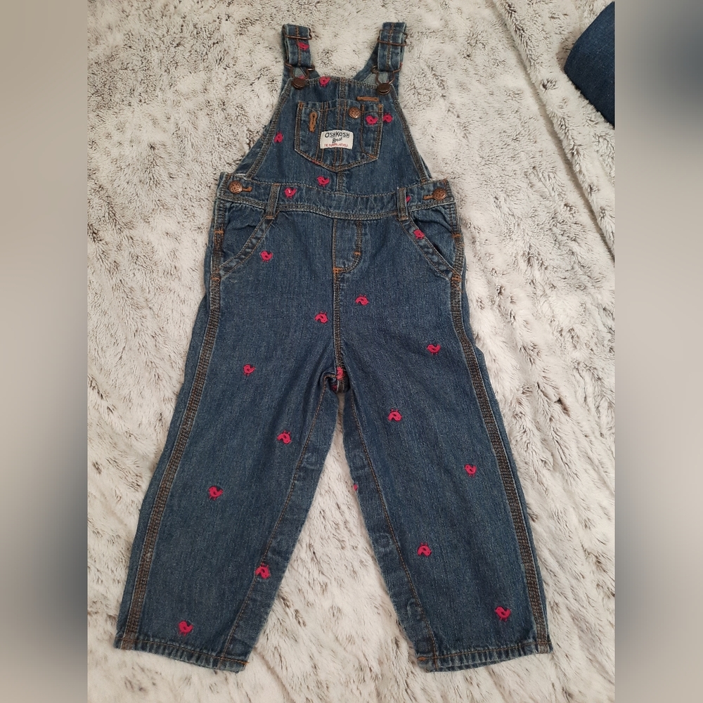 OshKosh B'gosh Vestbak Embroidered Pink Birds Chics Overalls 24 mos Snaps